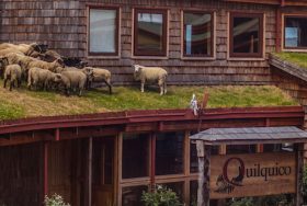 Innovación Sustentable